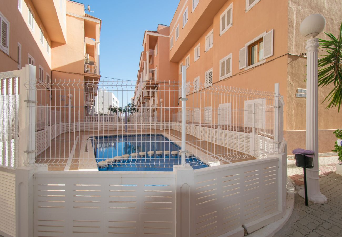 Ferienwohnung in La Mata - 033 Beach Terrace - Alicante Real Estate