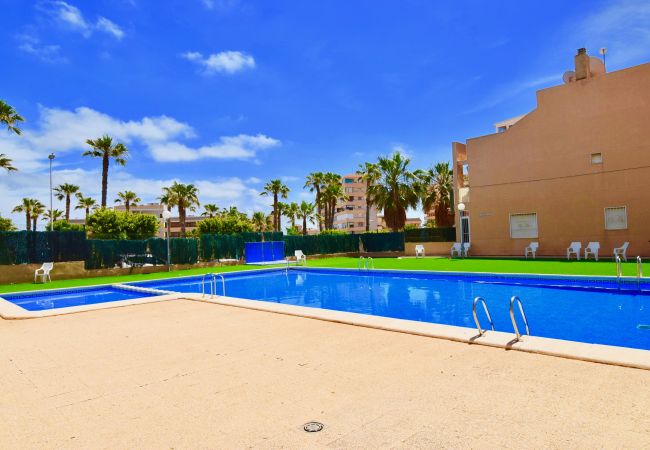 Ferienwohnung in Torrevieja - 040 Kate el Coral - Alicante Real Estate