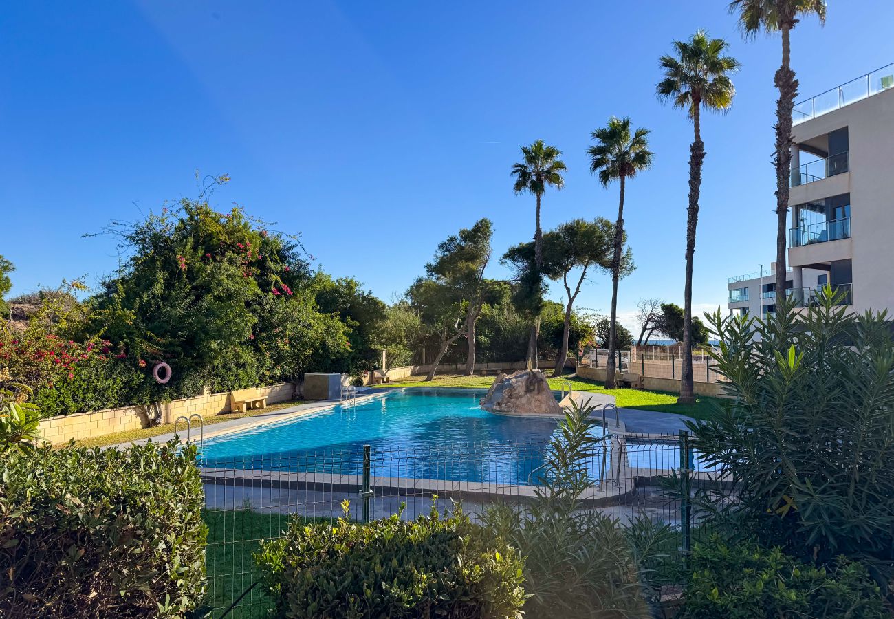 Ferienwohnung in La Mata - 055 Paradise Vacation - AC/WIFI