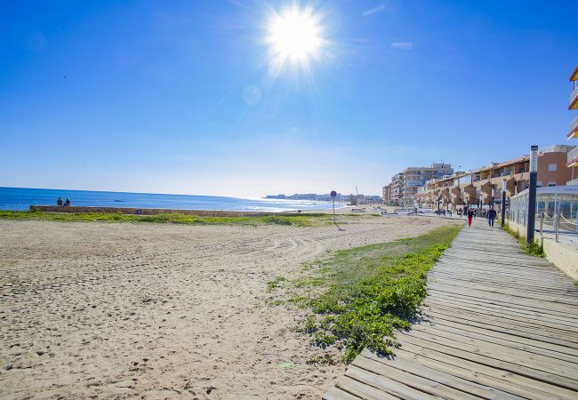 Ferienwohnung in La Mata - 073 Beach Playa - Alicante Holiday