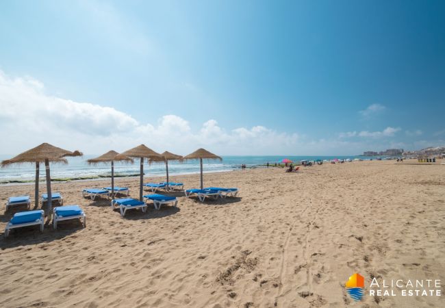 Ferienwohnung in La Mata - 102 Sol La Mata - Alicante Holiday