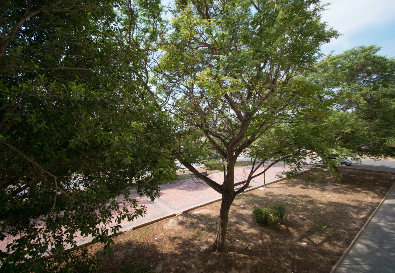 Ferienwohnung in Torrevieja - 113 Beach and Trees - Alicante Holiday