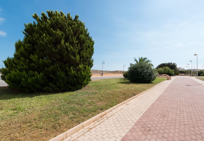 Ferienwohnung in La Mata - 114 Sea Views Dream - Alicante Holiday