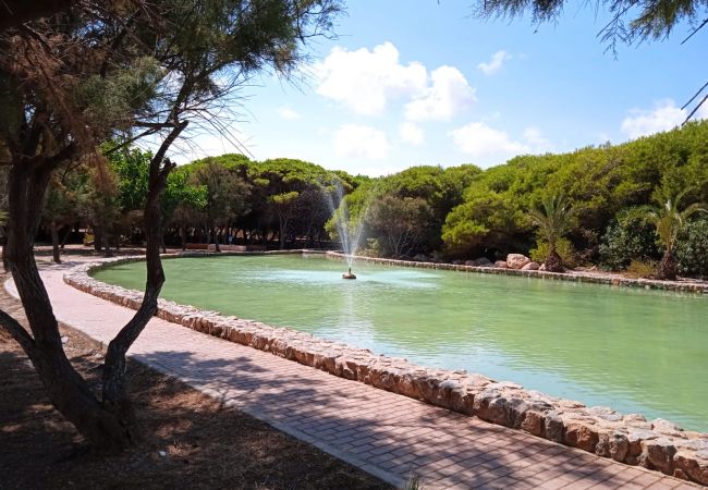 Ferienwohnung in La Mata - 115 Mar Views - Alicante Holiday Ferienwohnung in La Mata - 115 Mar Views - Alicante Holiday