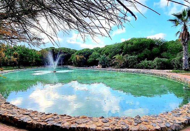 Ferienwohnung in La Mata - 116 COSTA BLANCA HOLIDAYS - Alicante Holiday Ferienwohnung in La Mata - 116 COSTA BLANCA HOLIDAYS - Alicante Holiday