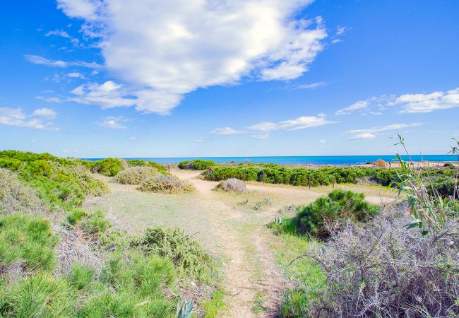 Ferienwohnung in La Mata - 135 Perfect Relax - Alicante Holiday Ferienwohnung in La Mata - 135 Perfect Relax - Alicante Holiday