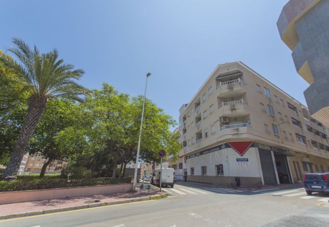 Ferienwohnung in La Mata - 135 Perfect Relax - Alicante Holiday Ferienwohnung in La Mata - 135 Perfect Relax - Alicante Holiday