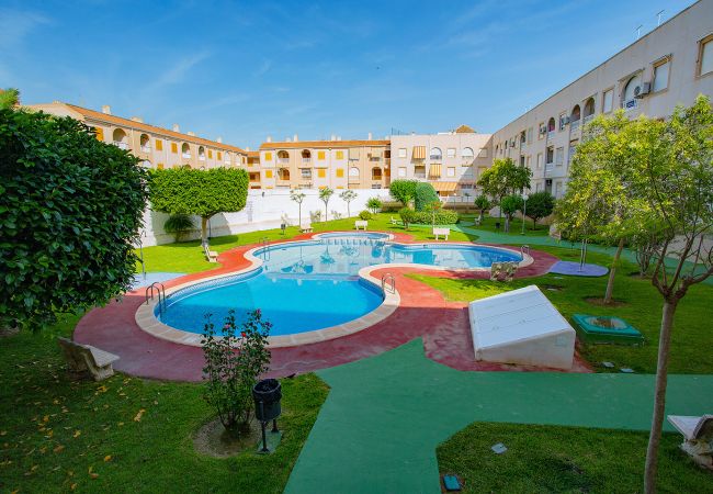Ferienwohnung in Torrevieja - 134 Urbano Chill - Alicante Holiday