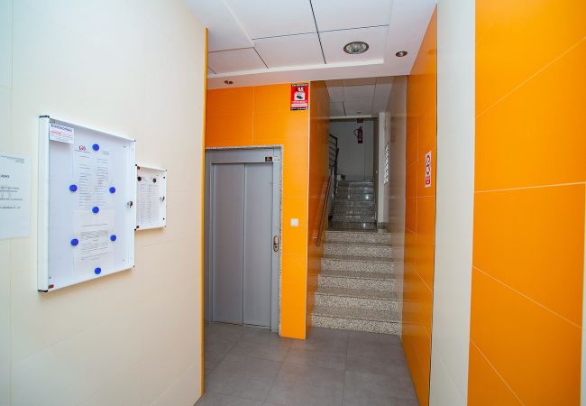 Ferienwohnung in Torrevieja - 069 Susymar Apartments