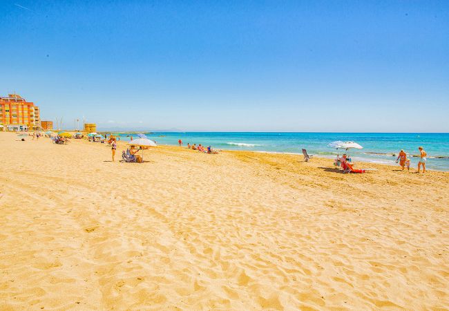 Ferienwohnung in La Mata - 060 La Mata Beach - Alicante Holiday