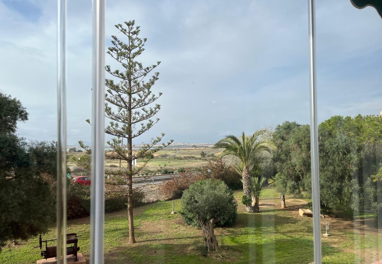 Ferienwohnung in La Mata - 100 Sunshine Beach - Alicante Holiday