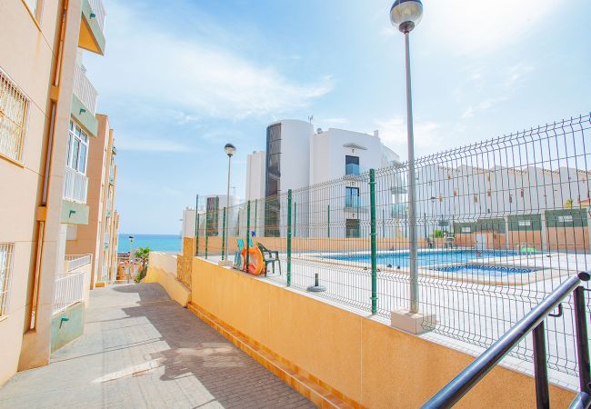 Ferienwohnung in La Mata - 097 Leandros Playa - Alicante Holiday Ferienwohnung in La Mata - 097 Leandros Playa - Alicante Holiday