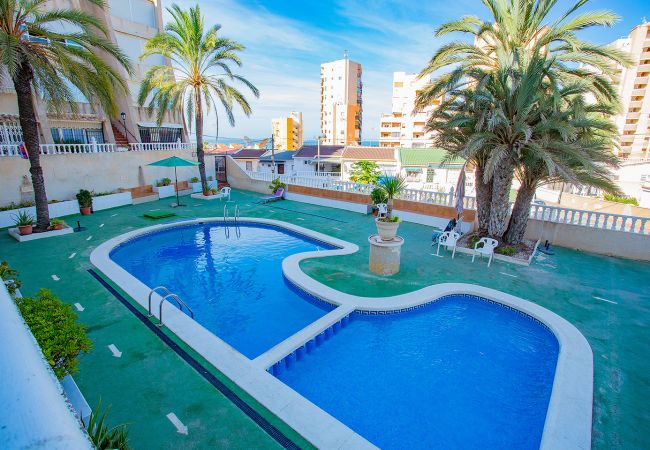 Ferienwohnung in Torrevieja - 108 Magic Lomas Playa - Alicante Holiday