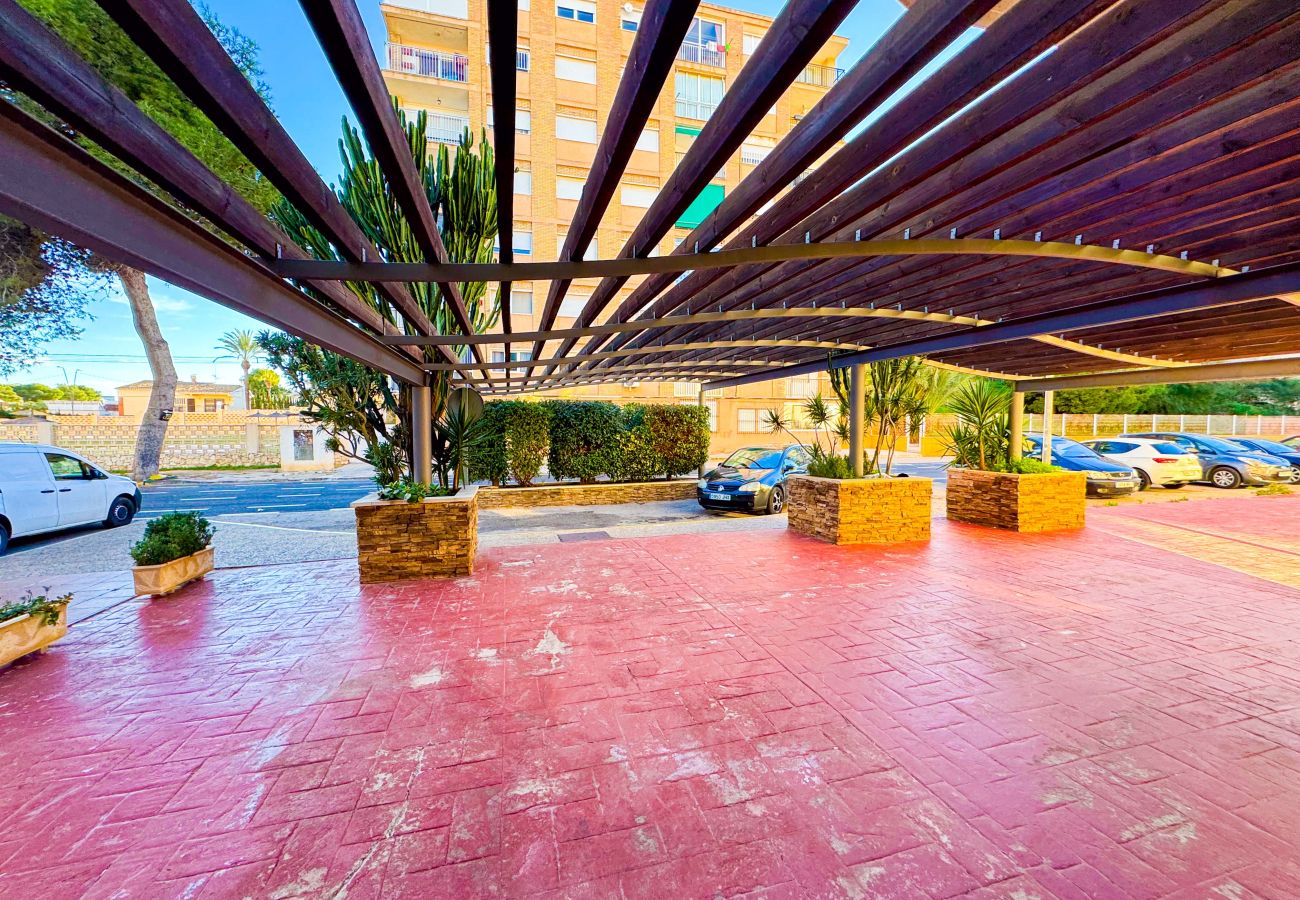 Ferienwohnung in La Zenia - 234 Sunshine Penthouse-Alicante Holiday