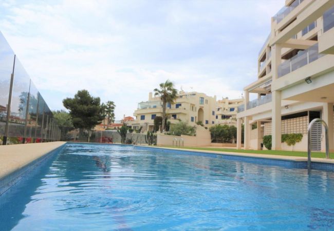Ferienwohnung in La Zenia - 235 Zenia Mar Azul-Alicante Holiday