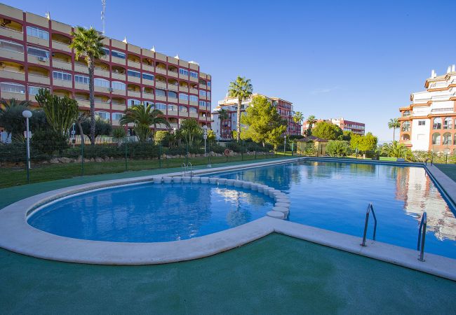 Torrevieja - Ferienwohnung