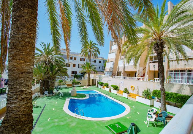 Ferienwohnung in Torrevieja - 088 Catherine Magic Apartment - Alicante Holiday