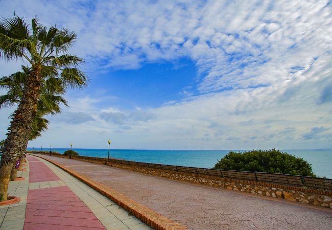 Ferienwohnung in Cabo Roig - 241 Cabo Roig Sea View-Alicante Holiday