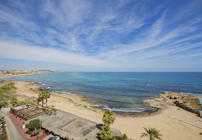 Ferienwohnung in Torrevieja - 037 Blue Laguna - Alicante Holiday