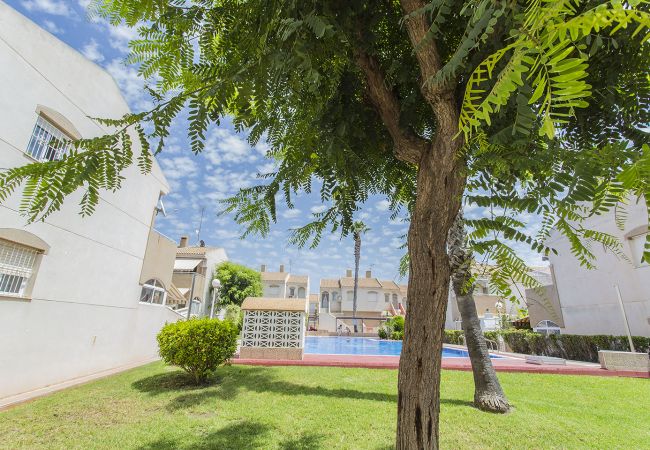 Ferienwohnung in Torrevieja - 146 Quiet Pool Relax - Alicante Holiday