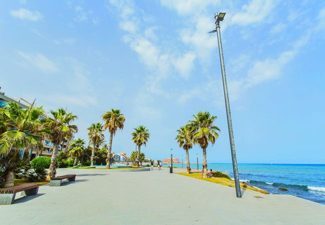 Ferienwohnung in Torrevieja - 148 Sea View Purissima - Alicante Holiday