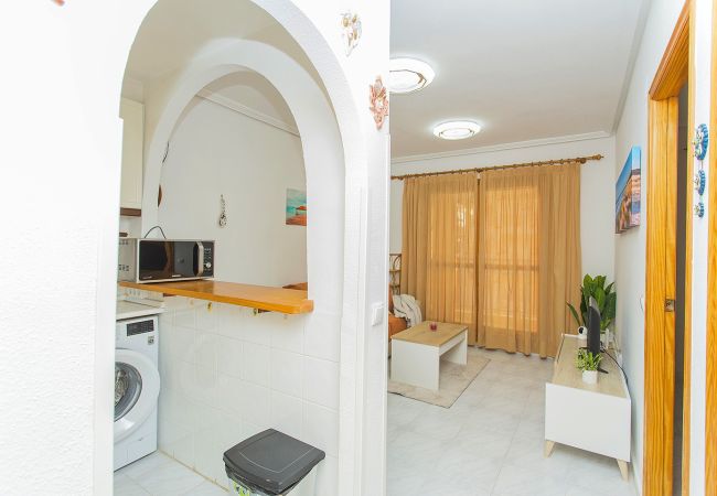 Ferienwohnung in La Mata - 013 Sunny Beach Spain Apartment - Alicante Holiday Ferienwohnung in La Mata - 013 Sunny Beach Spain Apartment - Alicante Holiday