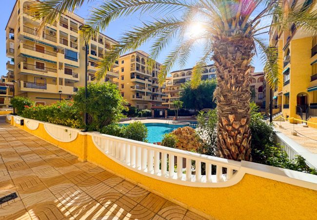 Ferienwohnung in La Mata - 013 Sunny Beach Spain Apartment - Alicante Holiday