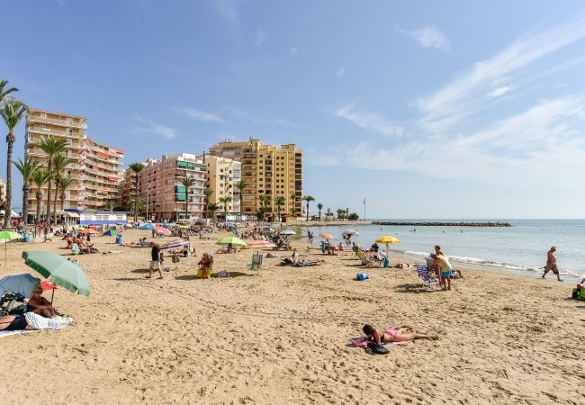Ferienwohnung in Torrevieja - 032 La Loma Dream Apart - Alicante Holiday