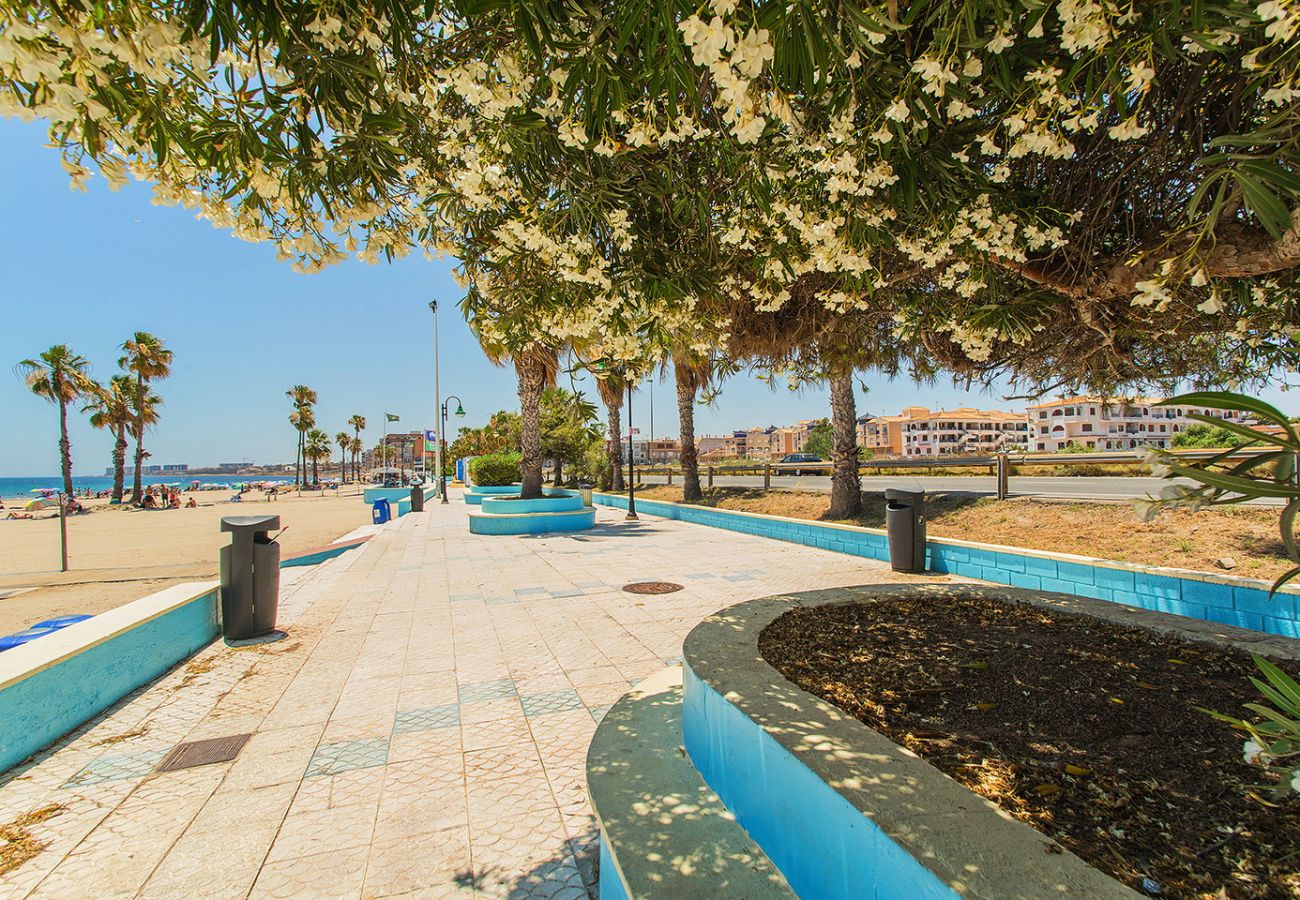 Ferienwohnung in Torrevieja - 165 Comfortable apartment Alicante-Holiday