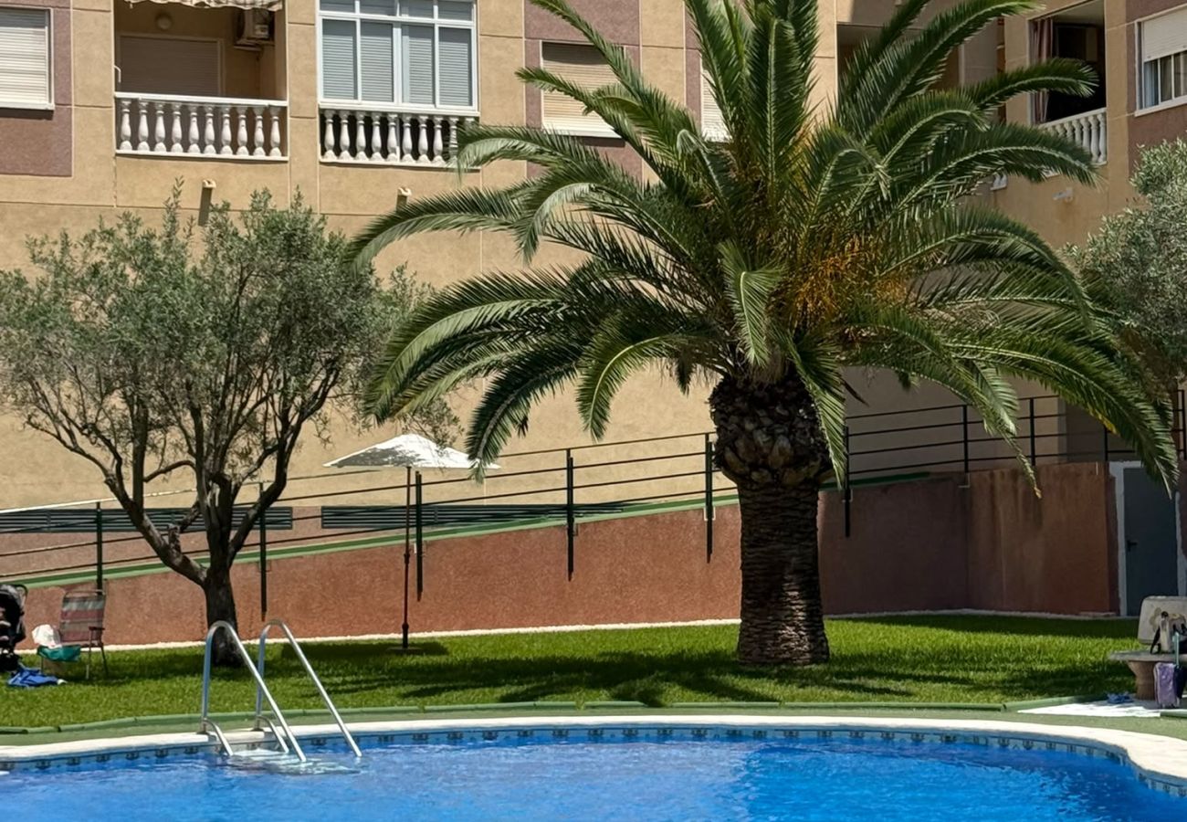 Ferienwohnung in Torrevieja - 112 Nice Pool Relax - Alicante Holiday