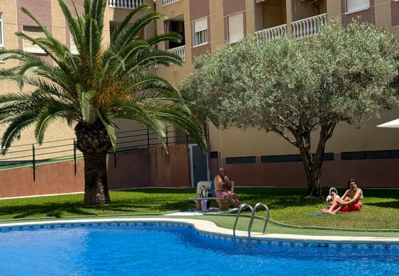 Ferienwohnung in Torrevieja - 112 Nice Pool Relax - Alicante Holiday