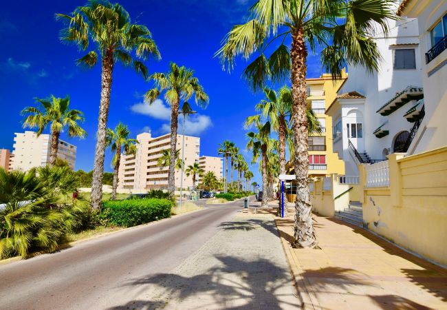 Apartamento en La Mata - 034 All Year Sun & Pool / AC - Wifi Apartamento en La Mata - 034 All Year Sun & Pool / AC - Wifi