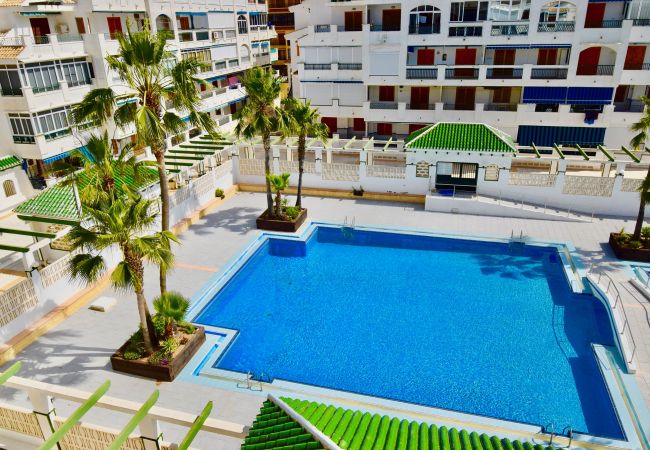 Apartamento en La Mata - 034 All Year Sun & Pool / AC - Wifi Apartamento en La Mata - 034 All Year Sun & Pool / AC - Wifi