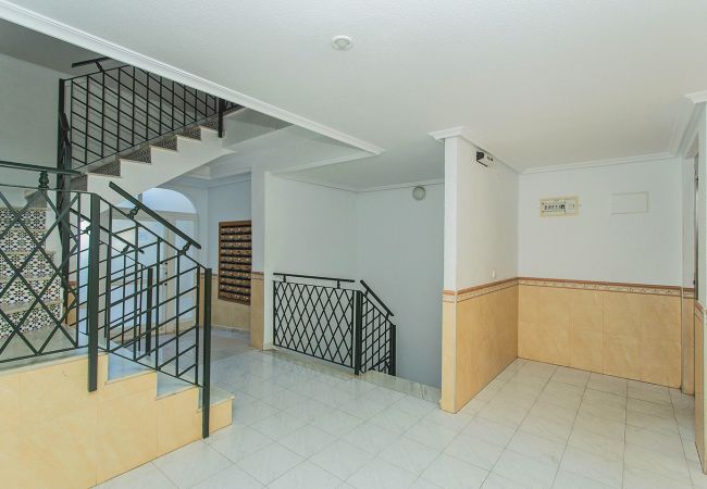 Apartamento en La Mata - 034 All Year Sun & Pool / AC - Wifi Apartamento en La Mata - 034 All Year Sun & Pool / AC - Wifi