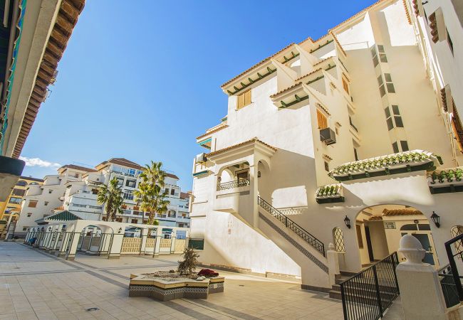 Apartamento en La Mata - 034 All Year Sun & Pool / AC - Wifi Apartamento en La Mata - 034 All Year Sun & Pool / AC - Wifi