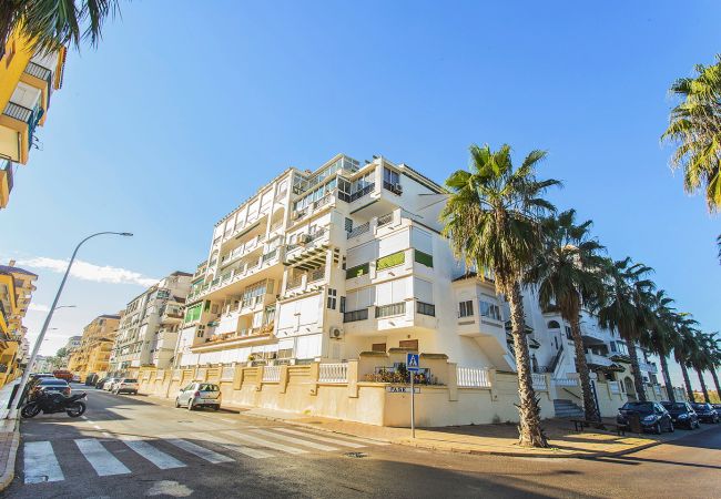 Apartamento en La Mata - 034 All Year Sun & Pool / AC - Wifi Apartamento en La Mata - 034 All Year Sun & Pool / AC - Wifi