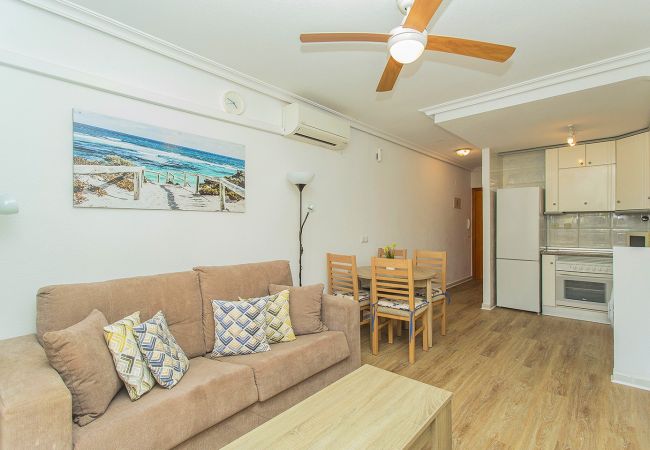 Apartamento en La Mata - 034 All Year Sun & Pool / AC - Wifi Apartamento en La Mata - 034 All Year Sun & Pool / AC - Wifi