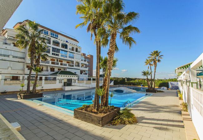 Apartamento en La Mata - 034 All Year Sun & Pool / AC - Wifi Apartamento en La Mata - 034 All Year Sun & Pool / AC - Wifi