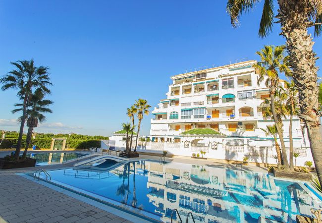 Apartamento en La Mata - 034 All Year Sun & Pool / AC - Wifi Apartamento en La Mata - 034 All Year Sun & Pool / AC - Wifi