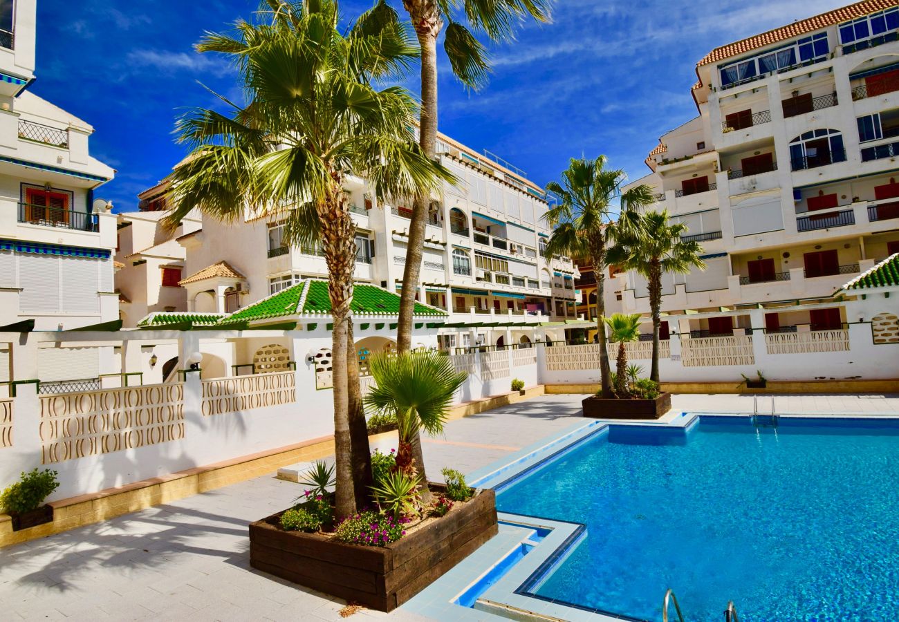 Apartamento en La Mata - 034 All Year Sun & Pool / AC - Wifi