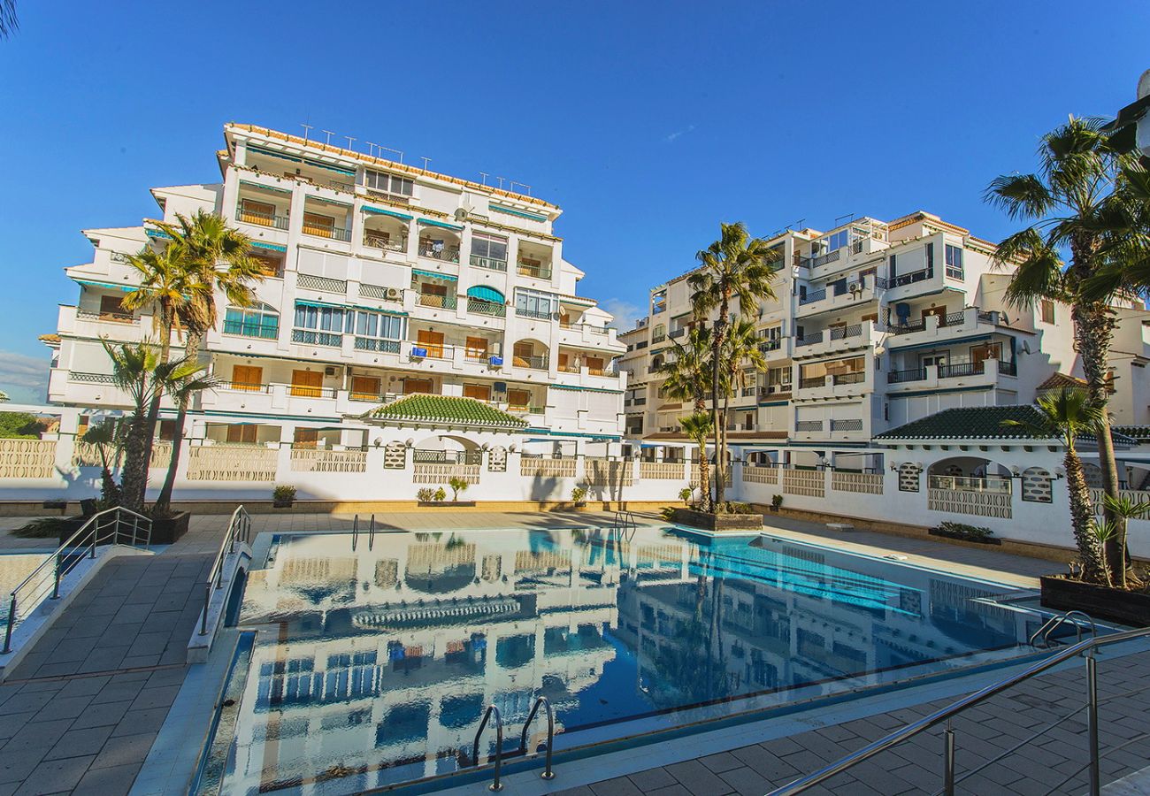 Apartamento en La Mata - 034 All Year Sun & Pool / AC - Wifi