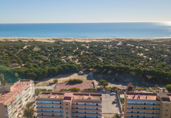 Apartamento en La Mata - 048 Love Beach - AC/WIFI