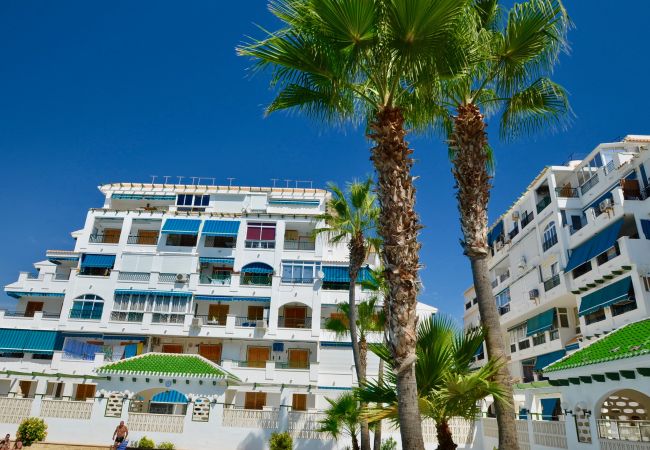 Apartamento en La Mata - 052 Luxury Pool - AC/WIFI Apartamento en La Mata - 052 Luxury Pool - AC/WIFI