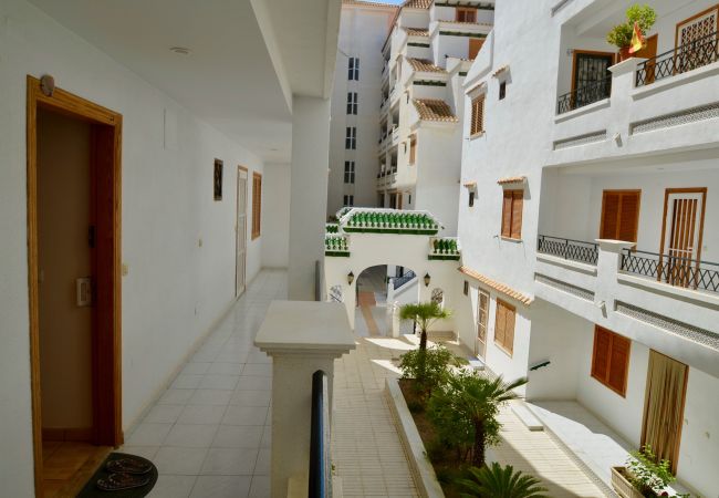 Apartamento en La Mata - 052 Luxury Pool - AC/WIFI Apartamento en La Mata - 052 Luxury Pool - AC/WIFI