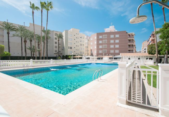 Apartamento en Torrevieja - 093 - Mil Palmeras Dream