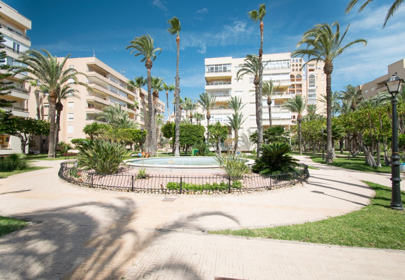 Apartamento en Torrevieja - 093 - Mil Palmeras Dream