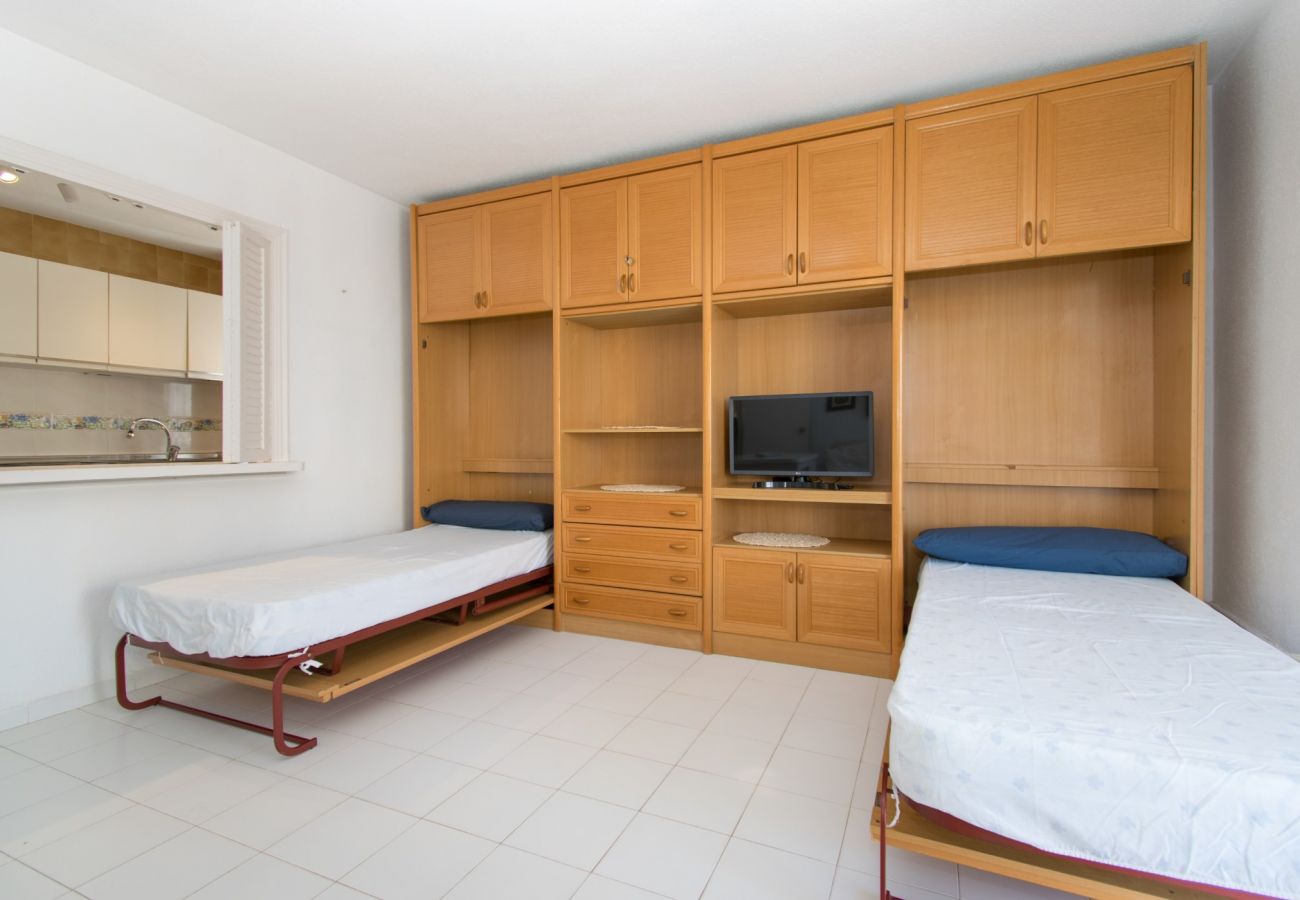 Apartamento en Torrevieja - 093 - Mil Palmeras Dream
