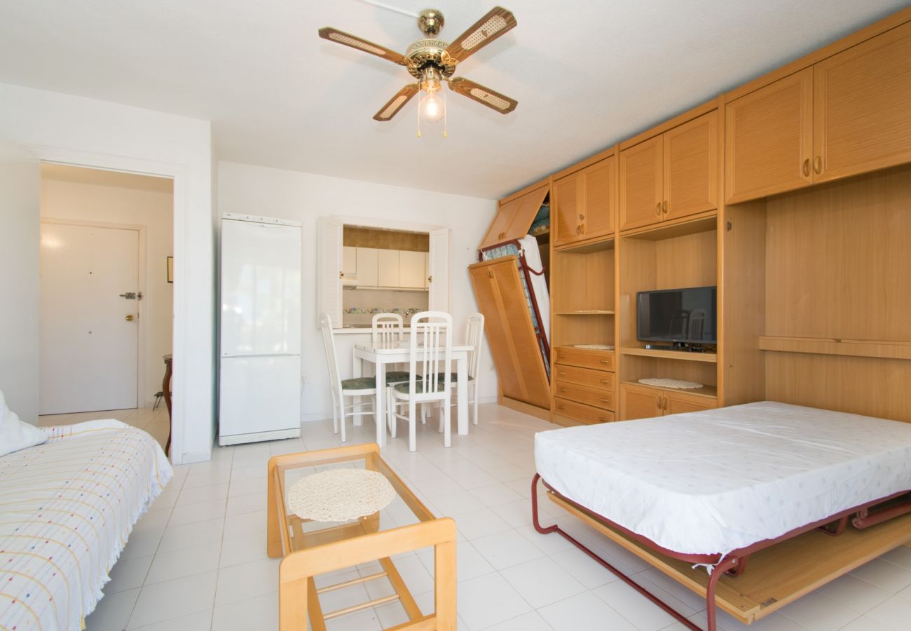 Apartamento en Torrevieja - 093 - Mil Palmeras Dream