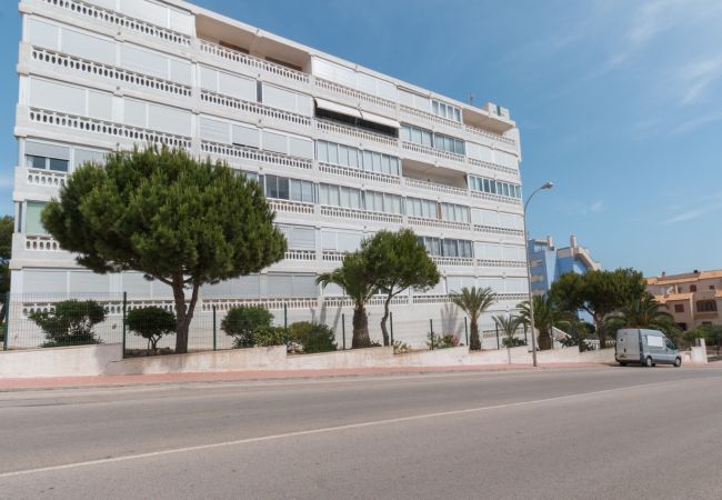 Apartamento en Torrevieja - 098  The New Holidays - Alicante Holiday