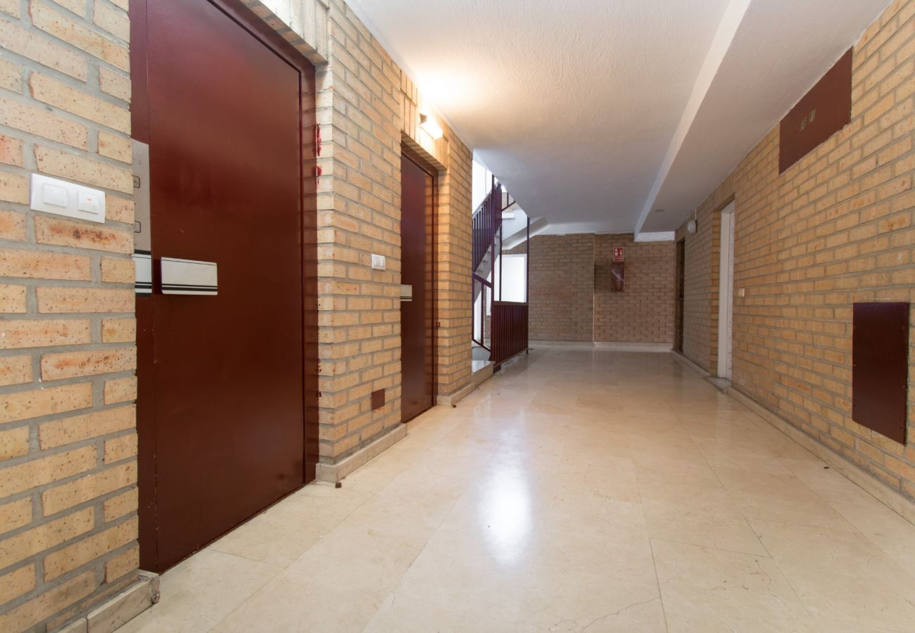 Apartamento en Torrevieja - 016 Happiness Apartment - Alicante Holiday